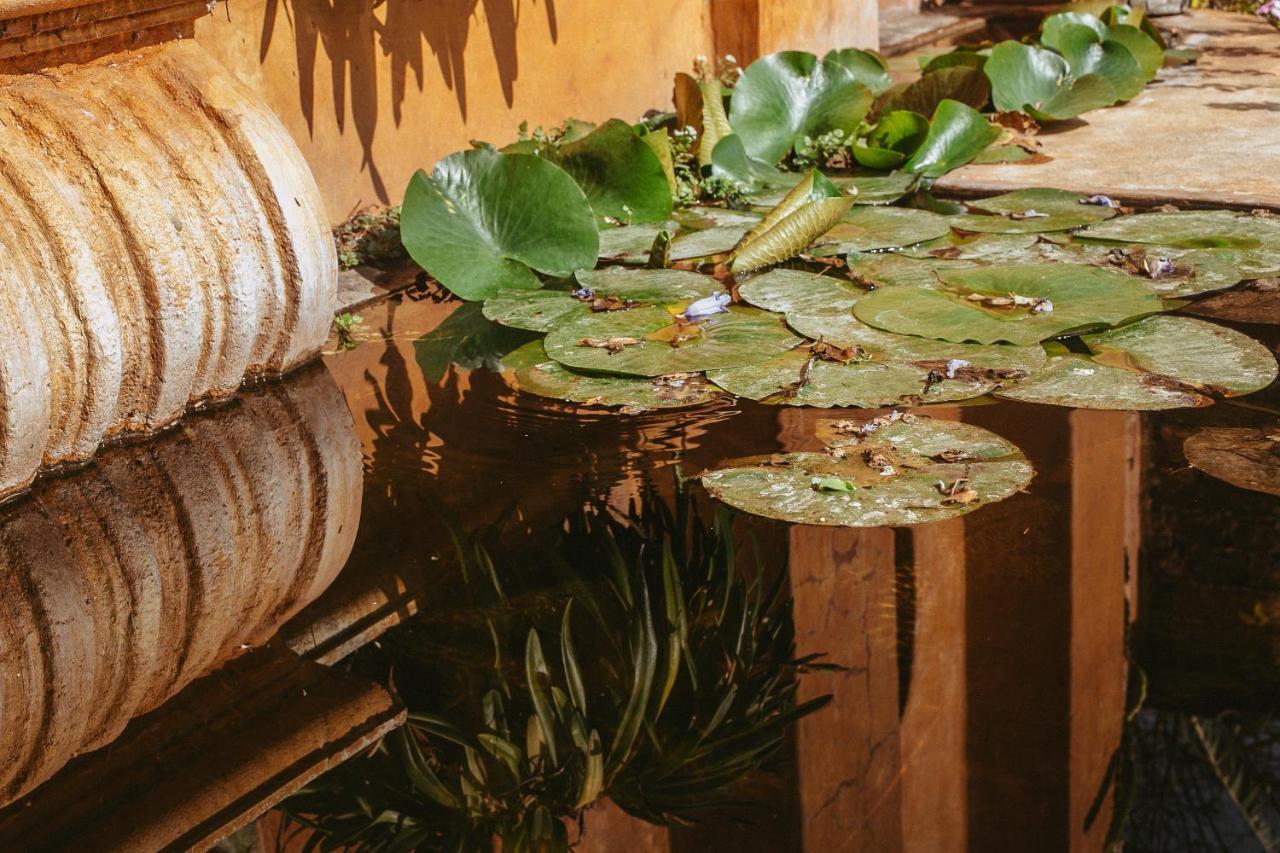 Quinta Cielo - Hotel Boutique Y Restaurante Malinalco Eksteriør bilde