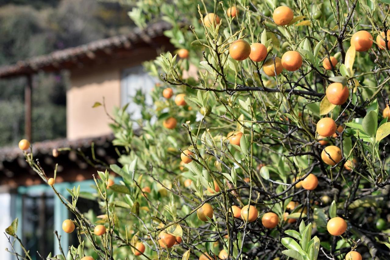 Quinta Cielo - Hotel Boutique Y Restaurante Malinalco Eksteriør bilde