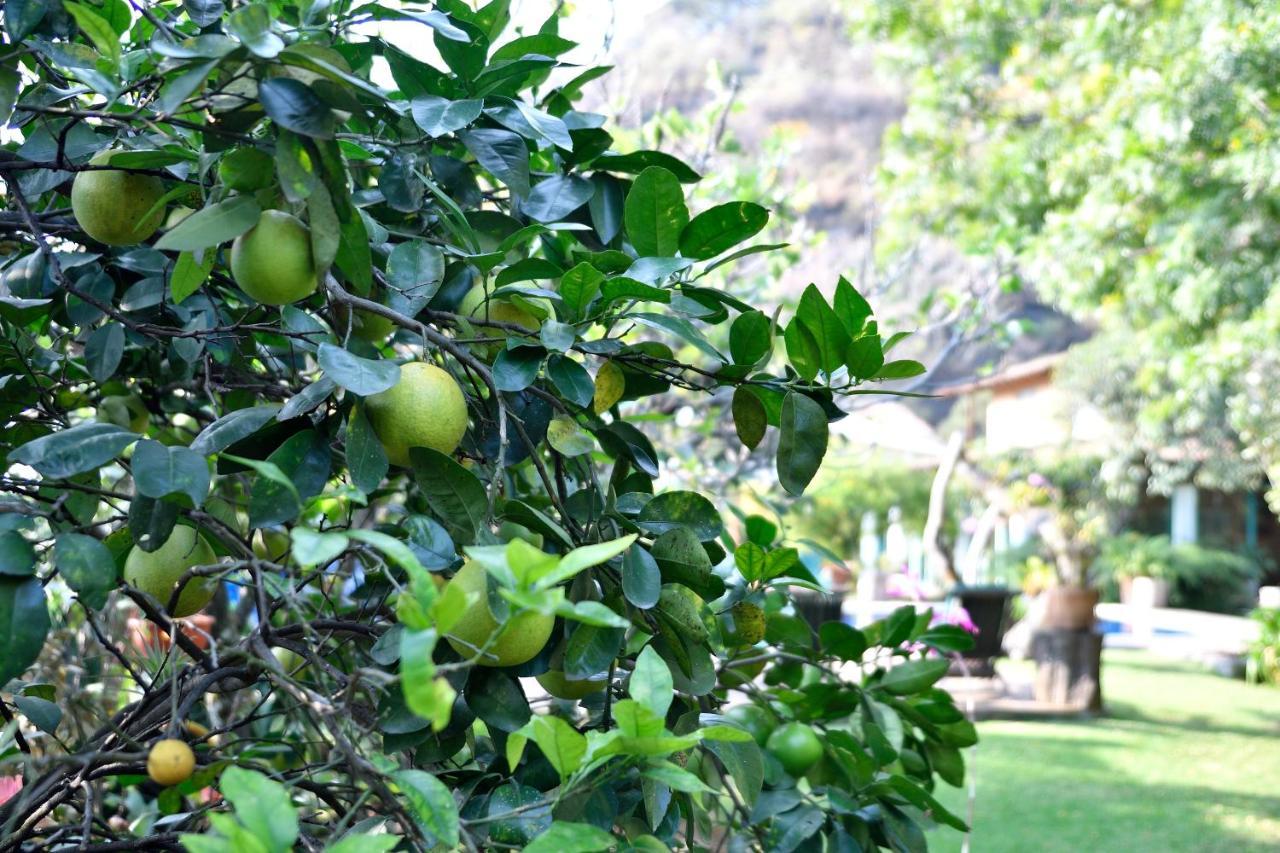 Quinta Cielo - Hotel Boutique Y Restaurante Malinalco Eksteriør bilde