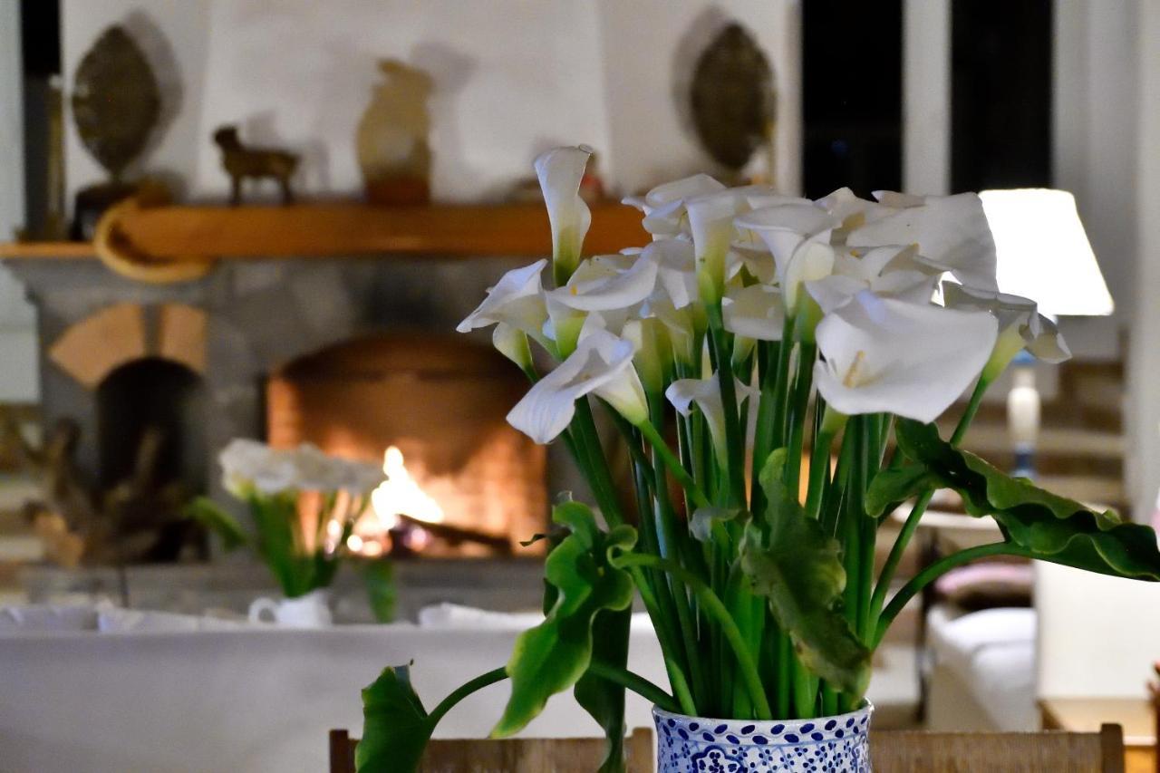 Quinta Cielo - Hotel Boutique Y Restaurante Malinalco Eksteriør bilde